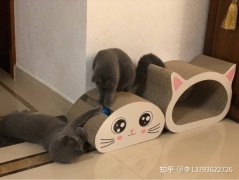 做猫抓板切割设备的铁匠李哥
