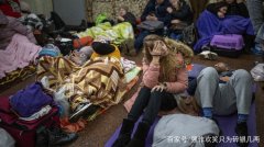 数控线丝锯和猫抓板切割机械